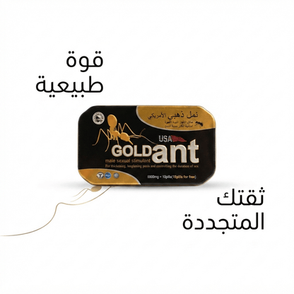 Gold Ant - Jamaly
